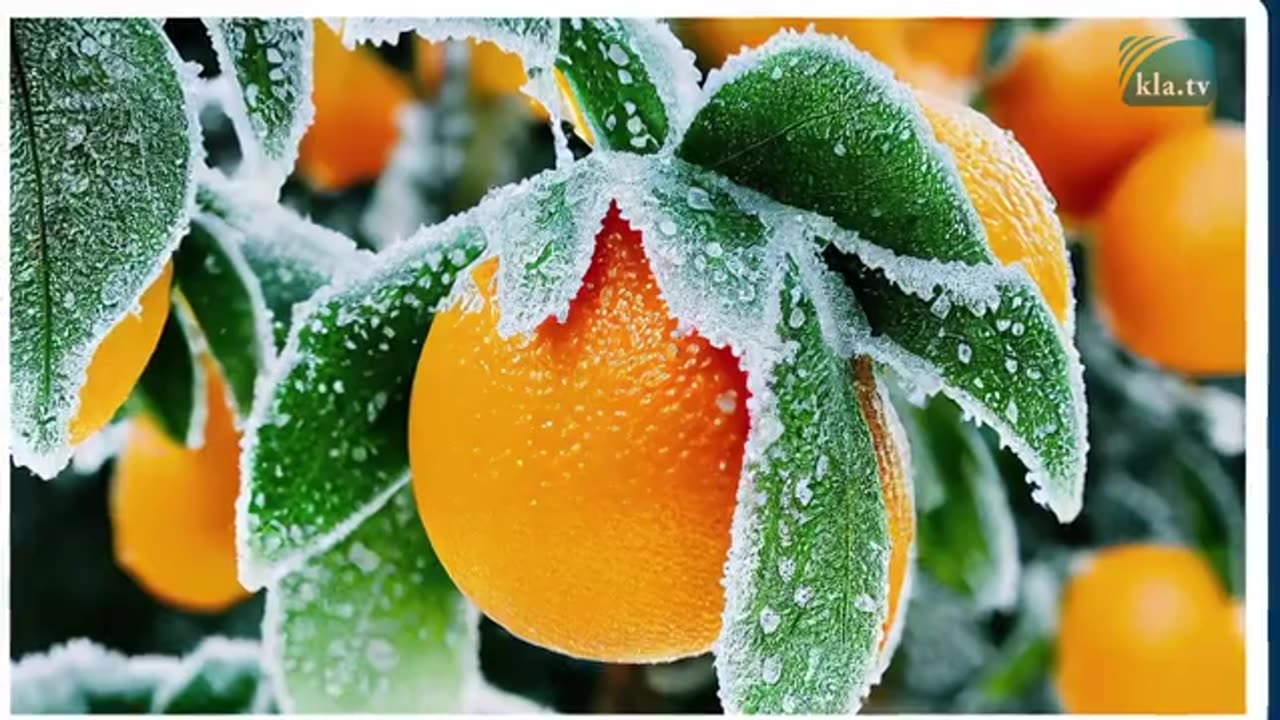 Globale Kälterekorde stellen Hitze-Lockdowns in Frage