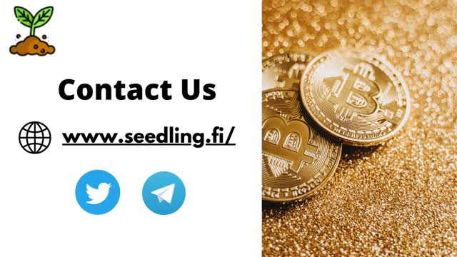 Busd Crypto Earn | Seedling