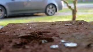 Pouring lead into a bullet mold.