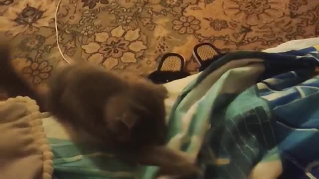 Return the candy)