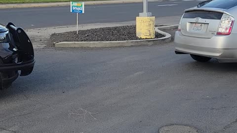 Cop blocks truck driver from doing his job.