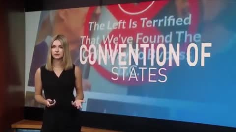 In the News: Convention of States Michigan volunteers hold educational event