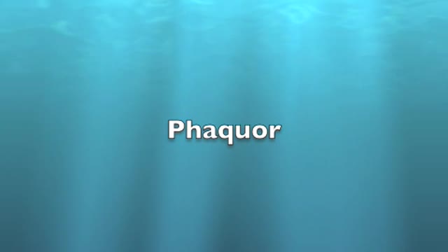 Phaquor (original)