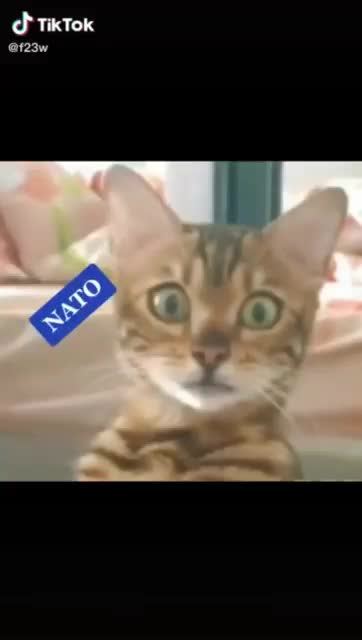 russia, upadlina, nato, usa ;-)