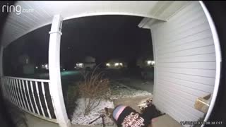 Porch Slip Interrupts Friendly Chase