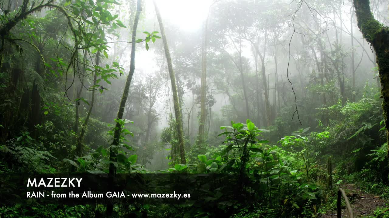 Relaxing Rain Sounds • Peaceful Zen Ambience for sleep, Yoga and Relaxation.