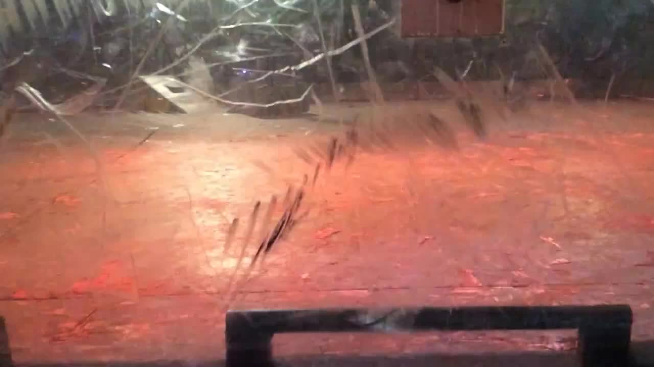 Robots of Destruction Dublin 2015: Ripper Vs Iron Awe 7