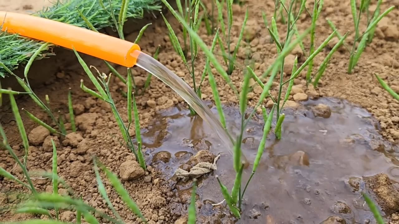 How to make mini water pump _ Science project _ Electric transformer _ Motor