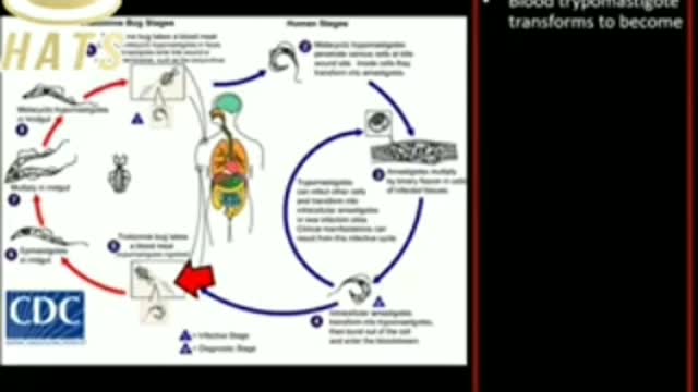 PARASITES IN VACCINE