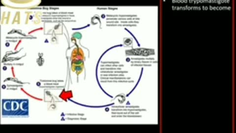 PARASITES IN VACCINE