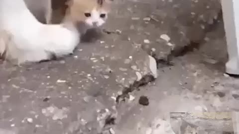 Go to your mother