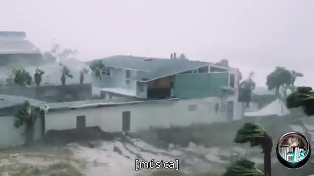 Envenenamento lento e programado!