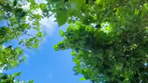 summer