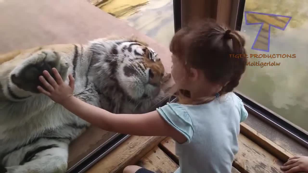 Funny Video#kids VS Animal zoo##