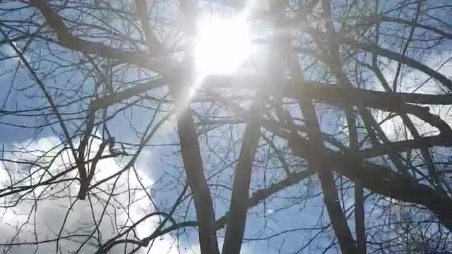 Beautiful Light