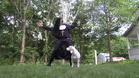 The Dogs | Conjuring' Prank | Funny Dogs : Maymo, Penny, & Potpie Befriend The Nun