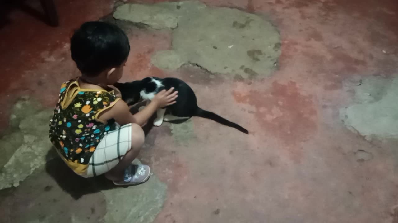 cute cat playing with baby