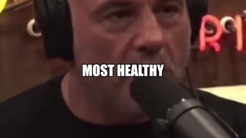 Joe Rogan Free Protein Chicken