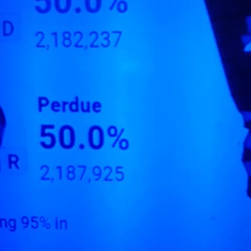 INTERNATIONAL WIDE ELECTION FRAUD VOTING MACHINE CRIME, GEORGIA RUNOFF SHAM ELECTION CRIME 214