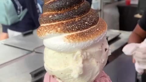 Ice Cream Topped with a Toasted Marshmallow