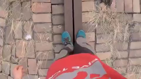 दुनिया का सबसे खतरनाक स्टङ