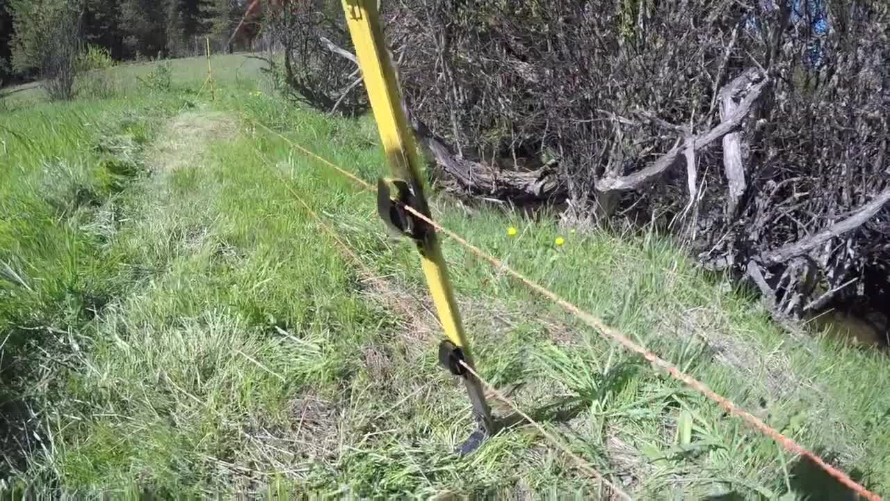 Electric fencing game changer in a community pasture north of Williams Lake B.C Canada.