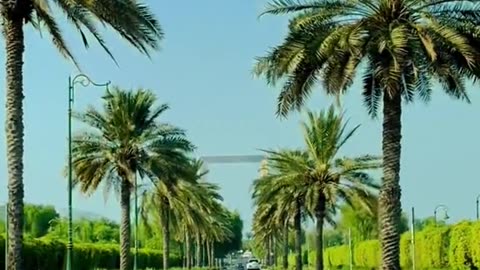 Driving in dubai