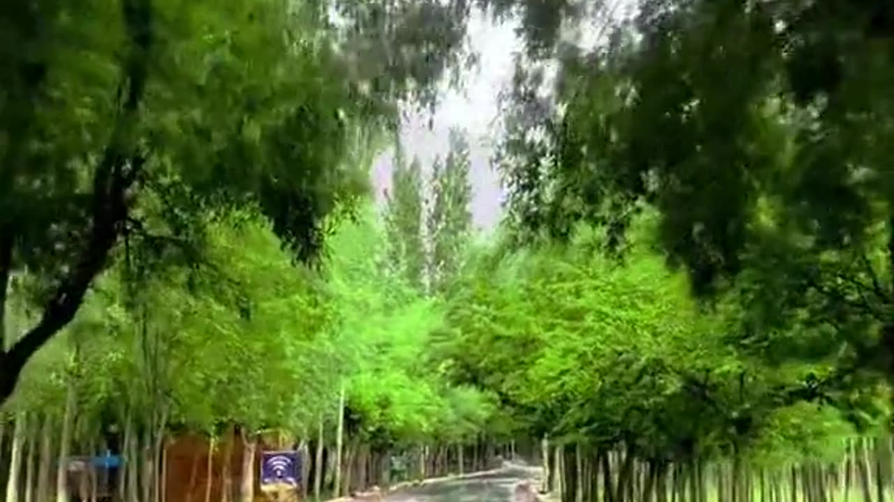 Skardu