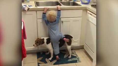 Toddler Uses Dog As Step Stool