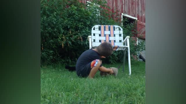 Little Boy Tries To Wrangle Adorable Tiny Kittens