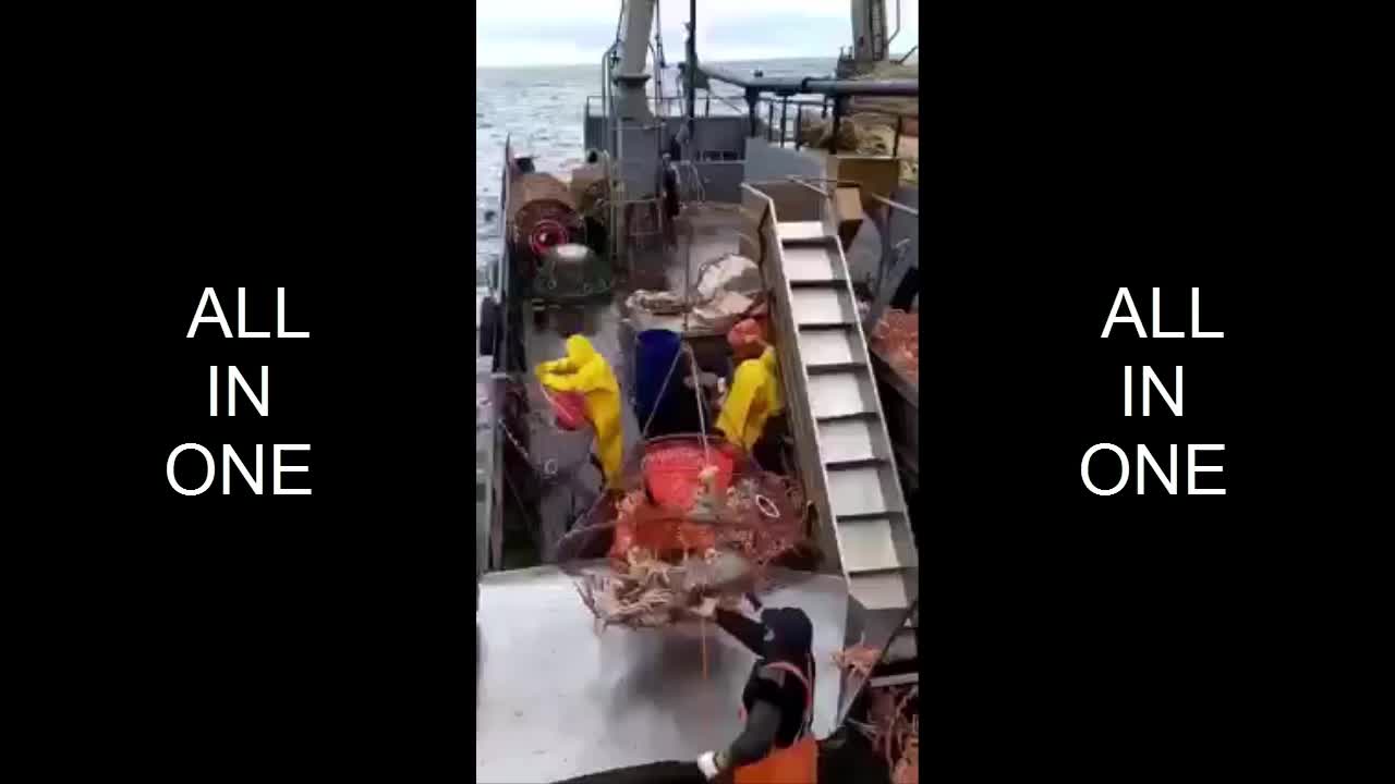 I First Time See Catching BIG CRABS After Process