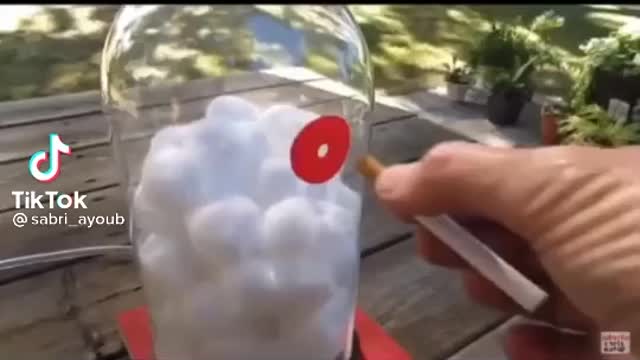 Sabri Virals '' Stop now ''