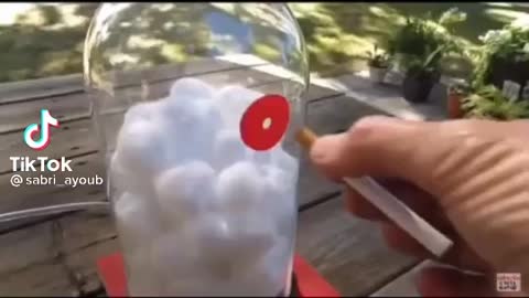 Sabri Virals '' Stop now ''