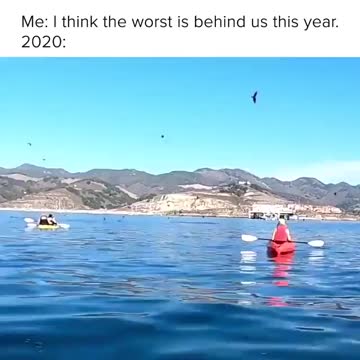 2020 🇺🇸 in a single gif!