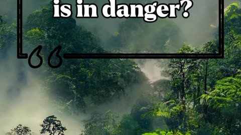 When ship is in danger