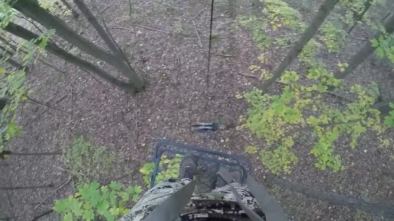 Chasing Whitetails