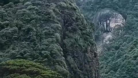 Beautiful short video