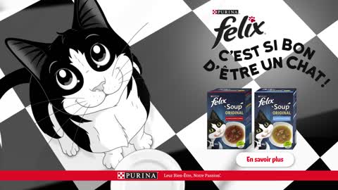 FELIX® C'est si bon d'être un chat - Repas