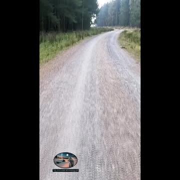 Hiking in Dartmoor. Fernworthy forest