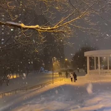 With Biden president, CDC director finally admits 75% of covid deaths were people with comorbidities