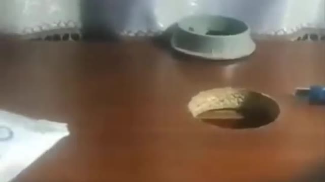 get it out of here!