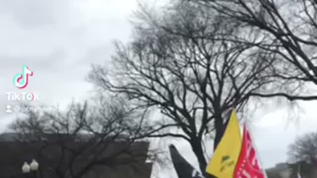 Massive amounts of patriots descend on DC for peaceful protest
