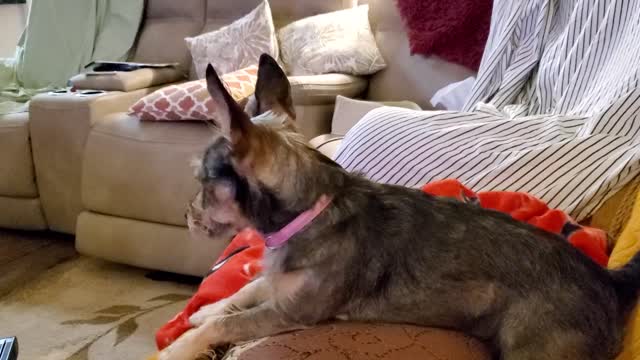 "Penny" sings for her Daddy