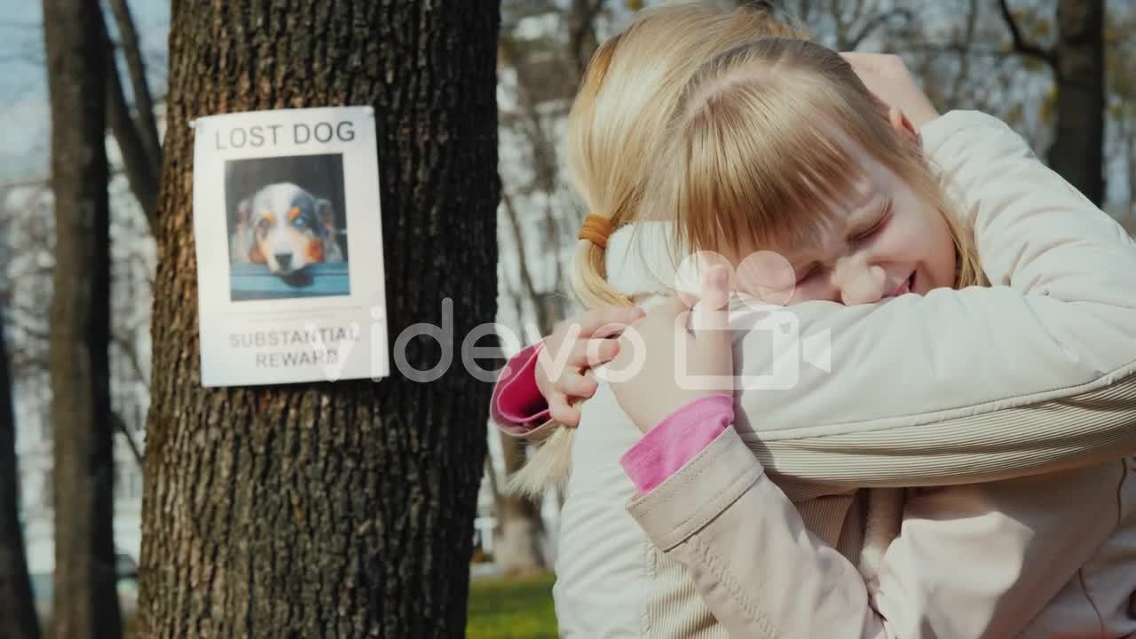 Mom Soothes The Girl Who Lost The Dog On The Tree Hangs The Announcement Of The Missing