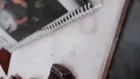 Gun status