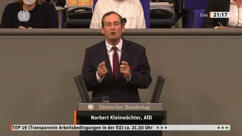 Norbert Kleinwächter Rede vom 23.06.2022 - Transparente Arbeitsbedingungen in der EU