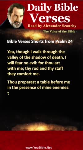 Daily Bible Verses