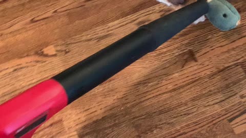 Banjo loves the blower