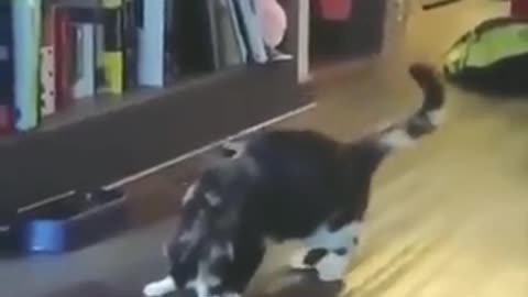 I am just joooking...