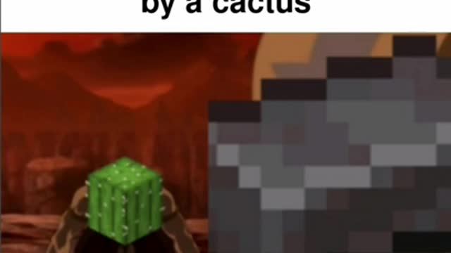 Minecraft Memes